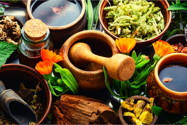  Herbal Medicine: