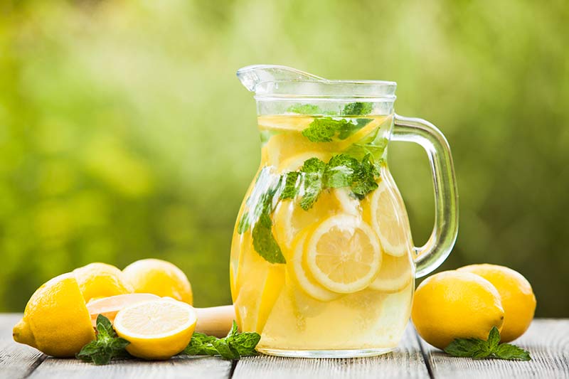 THE LEMONS : BODY DETOXIFIER
