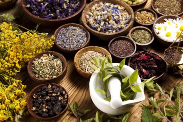 Herbal Remedies: