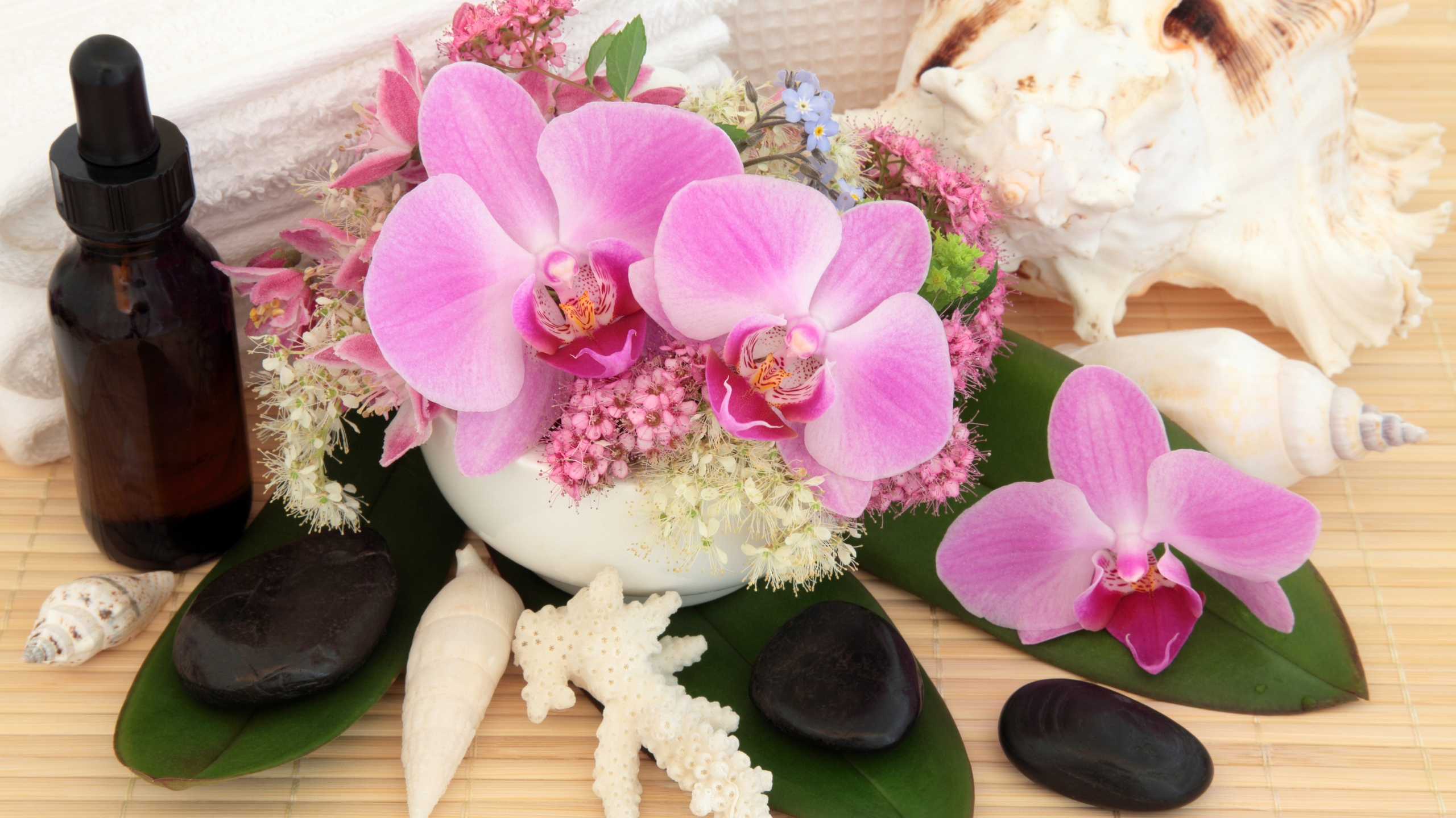 Women's Health Issues & Naturopathic Treatments Naturopathic Treatments