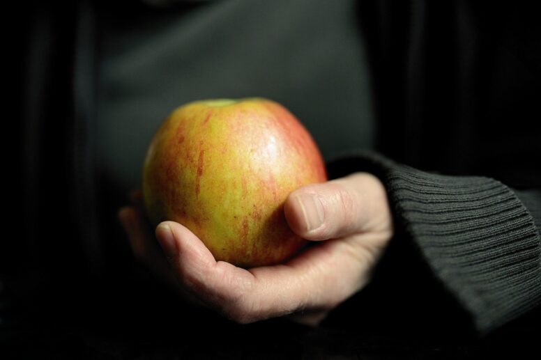 fruit image apple diets