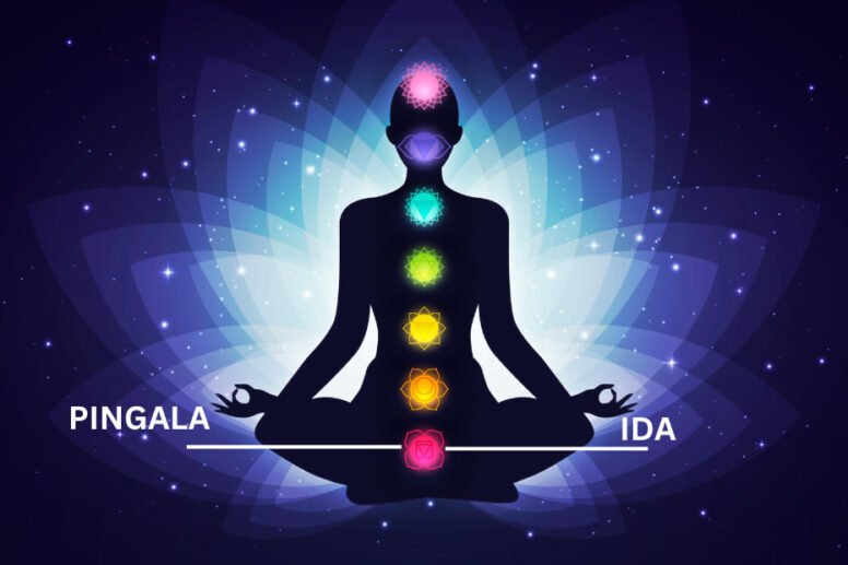 Balancing Ida and Pingala Naadi enhances health in Yoga and Naturopathy.