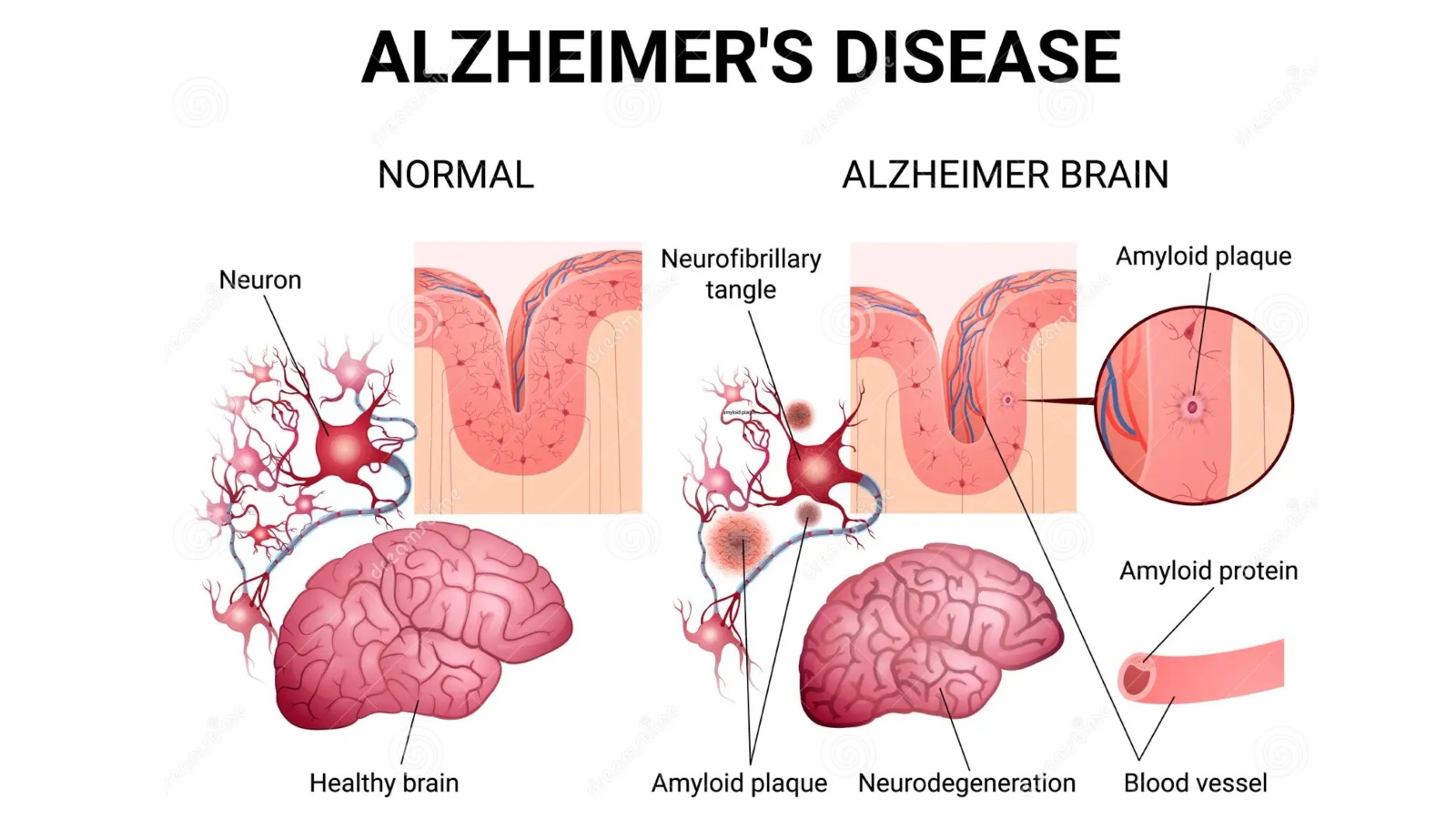 WhatsApp Image 2025 02 07 At 1.08.32 PM