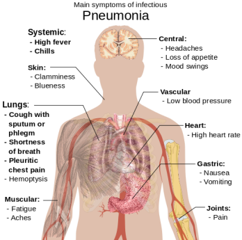 pneumonia symptoms in elderly
