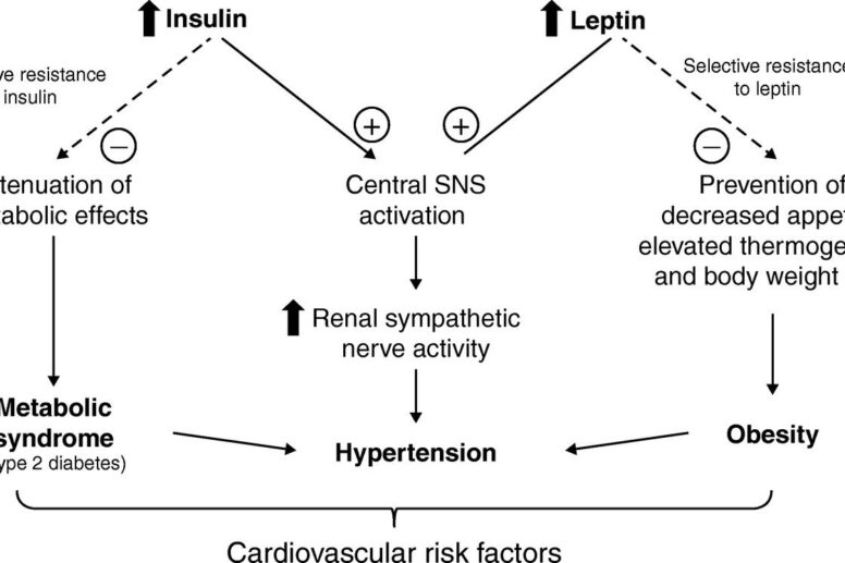 how obesity and diabetes cause high blood pressure