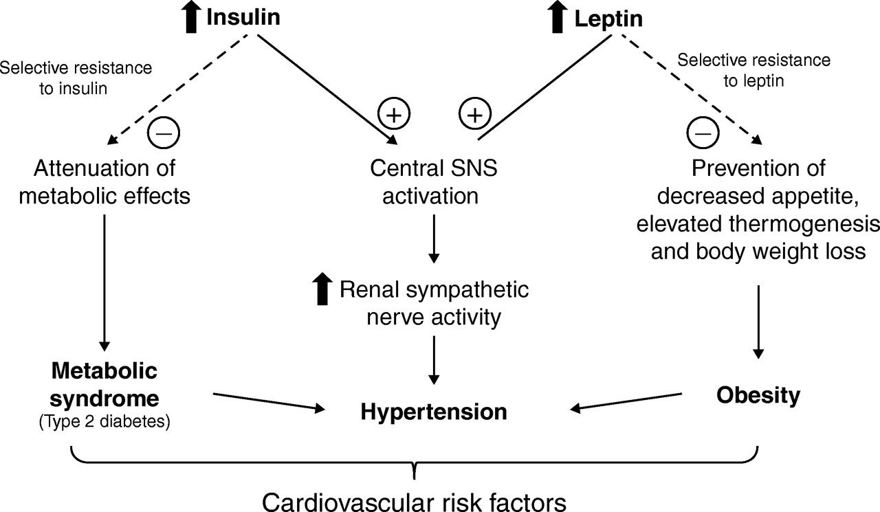 Best Naturopathy Centre in Lucknow