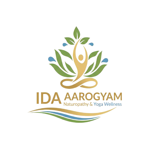 ida logo removebg preview